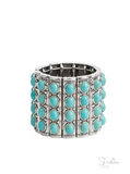 The Ebony 2022 Paparazzi Zi Collection - Silver Necklace & All - Natural Glow Bracelet