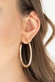 Paparazzi Accessories - Comin Into Money - Gold Earring