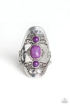 Paparazzi Desert Paint - Purple Stones - Ornate Silver Ring